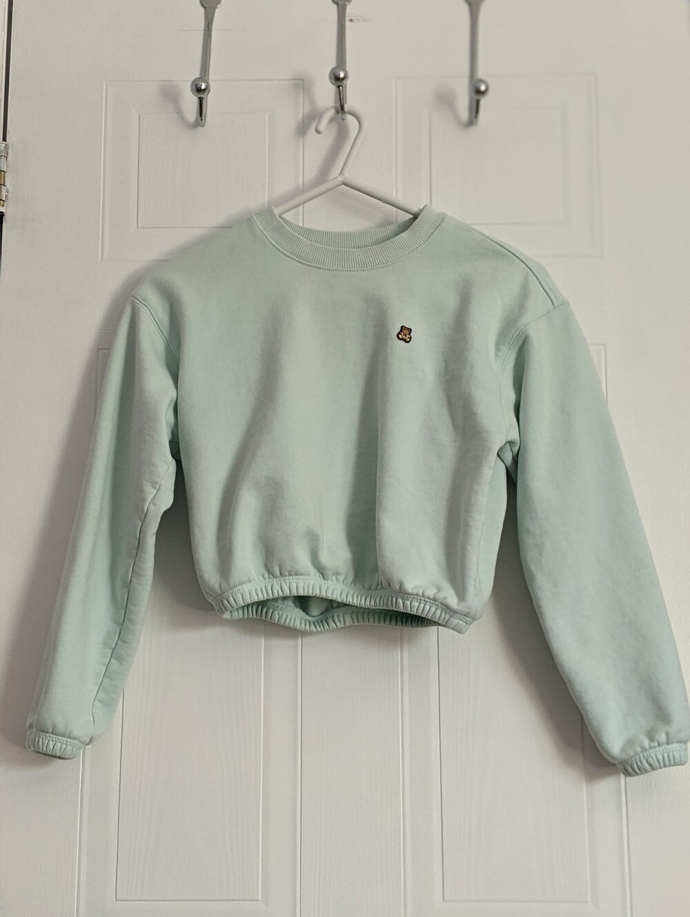 Teddy Fresh Mint Green Cropped Crewneck Sweater